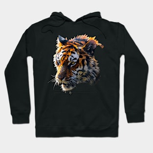 Tiger Color Environment Hoodie